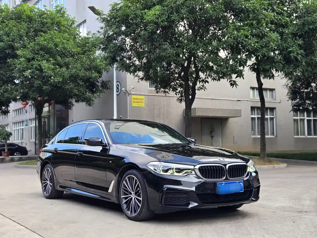 BMW 5 Series — миниатюра 2