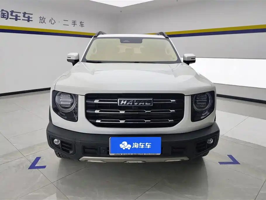 HAVAL BIG DOG