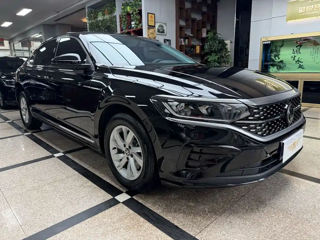 Volkswagen Passat — миниатюра 3