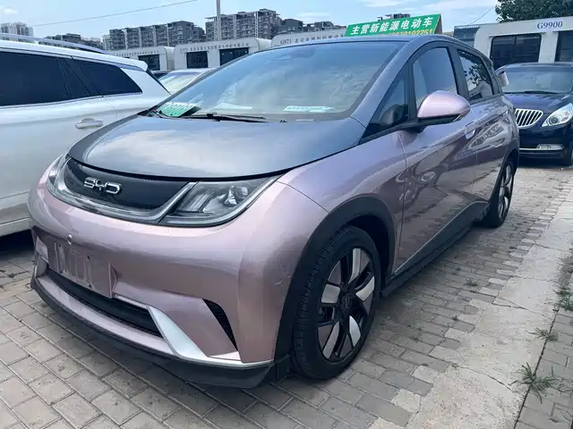 2022 BYD Dolphin