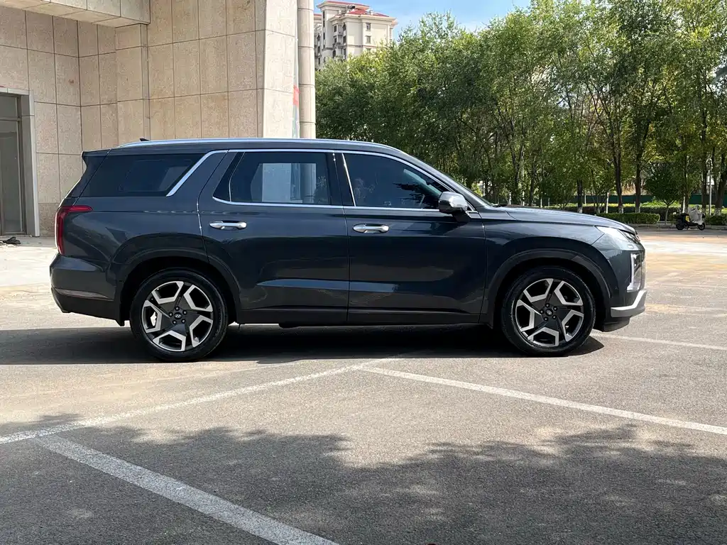 Hyundai Palisade — миниатюра 7
