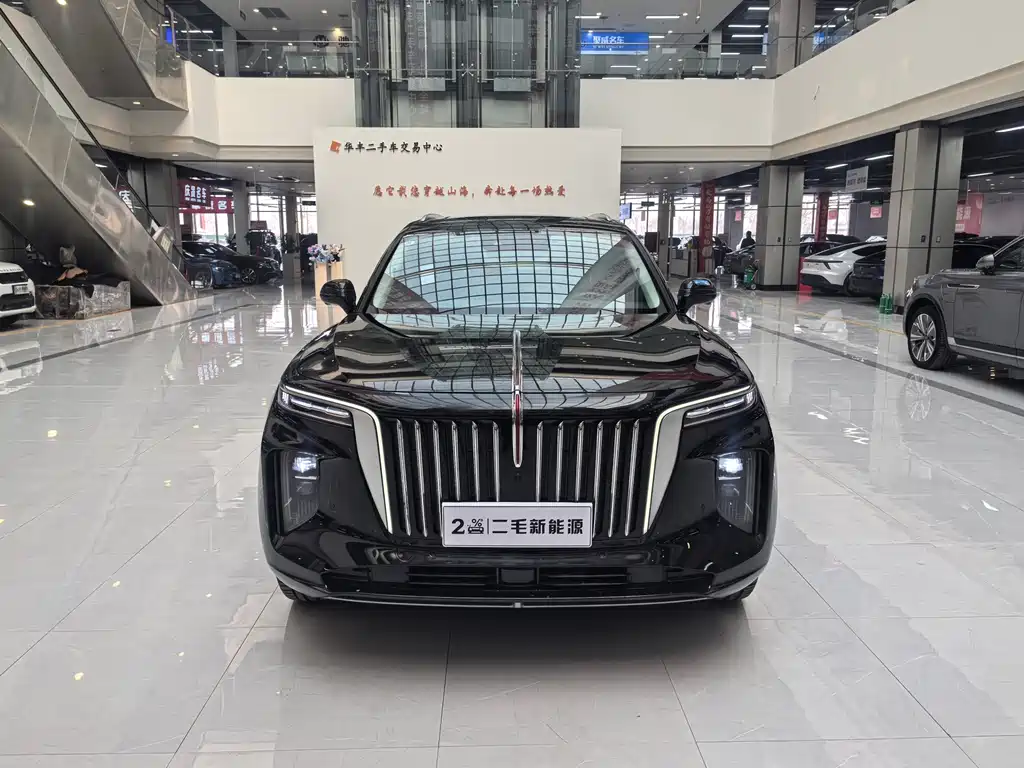 Hongqi E-HS9 2022 690km мест