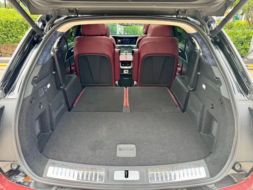 Hongqi Hongqi E-HS9 — миниатюра 26