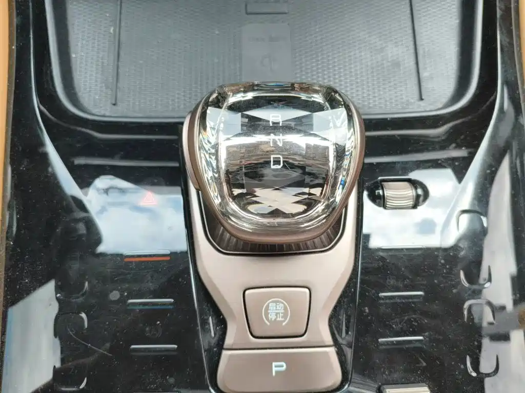 Denza Denza D9 — миниатюра 10