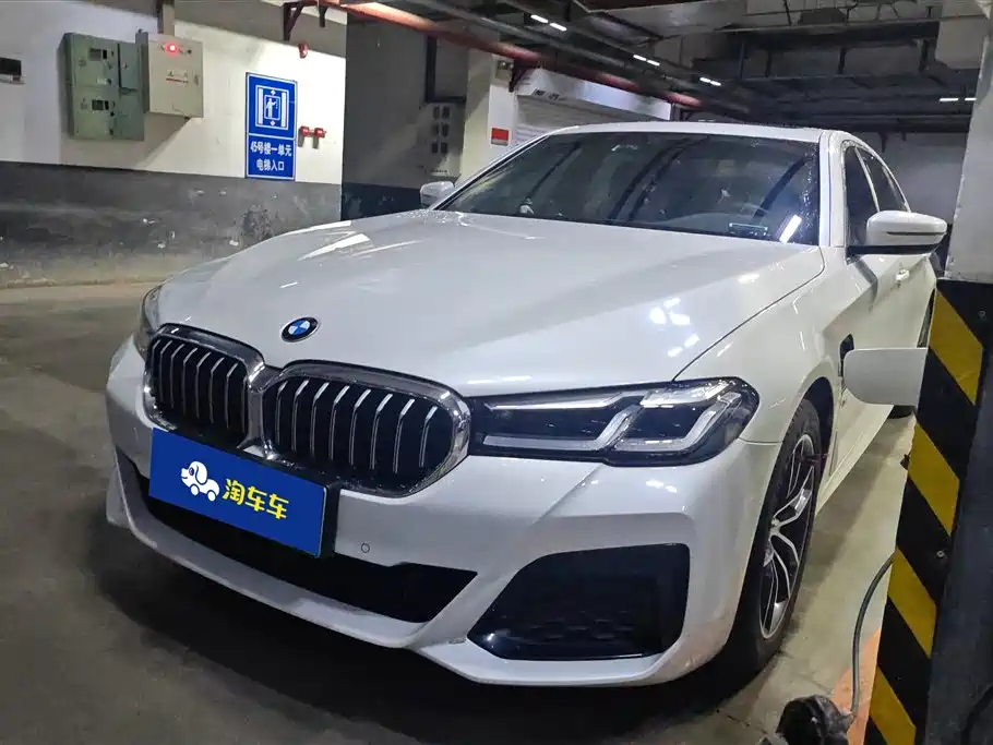 BMW 5 Series New Energy 2020