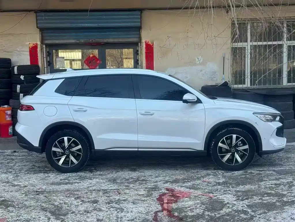 BYD SONGJIANG NEW ENERGY