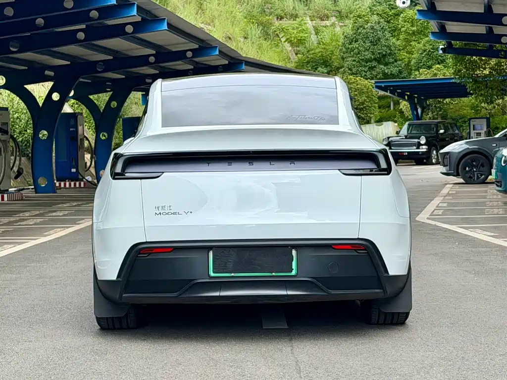 Tesla Model Y — миниатюра 4