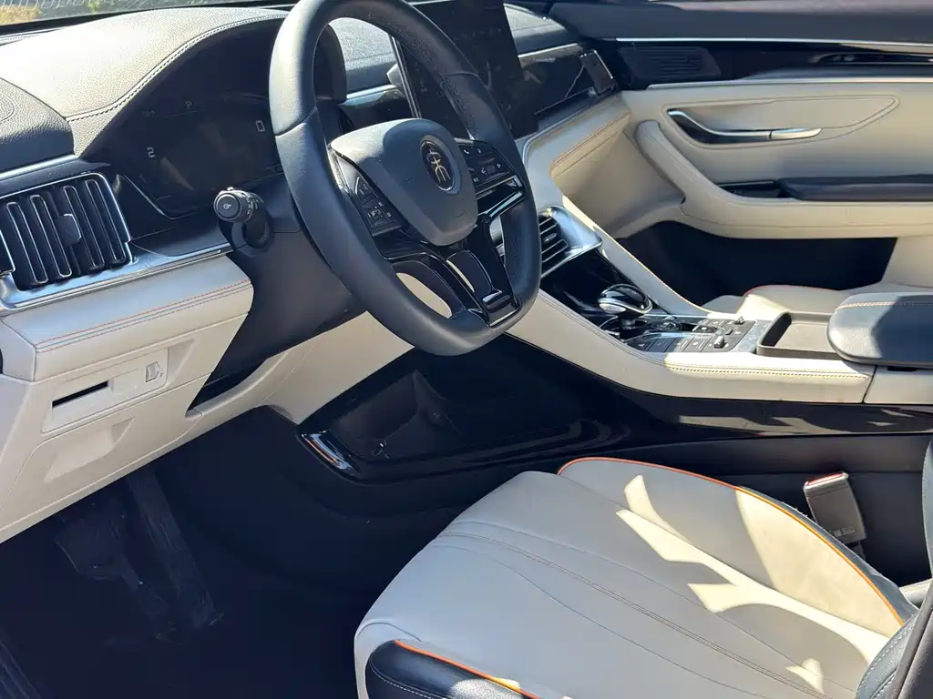 BYD PLUS New Energy — миниатюра 5