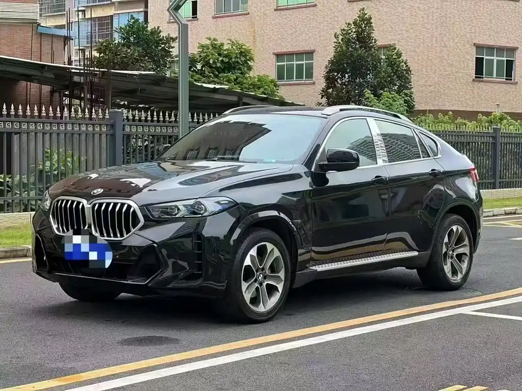 BMW X6 2010