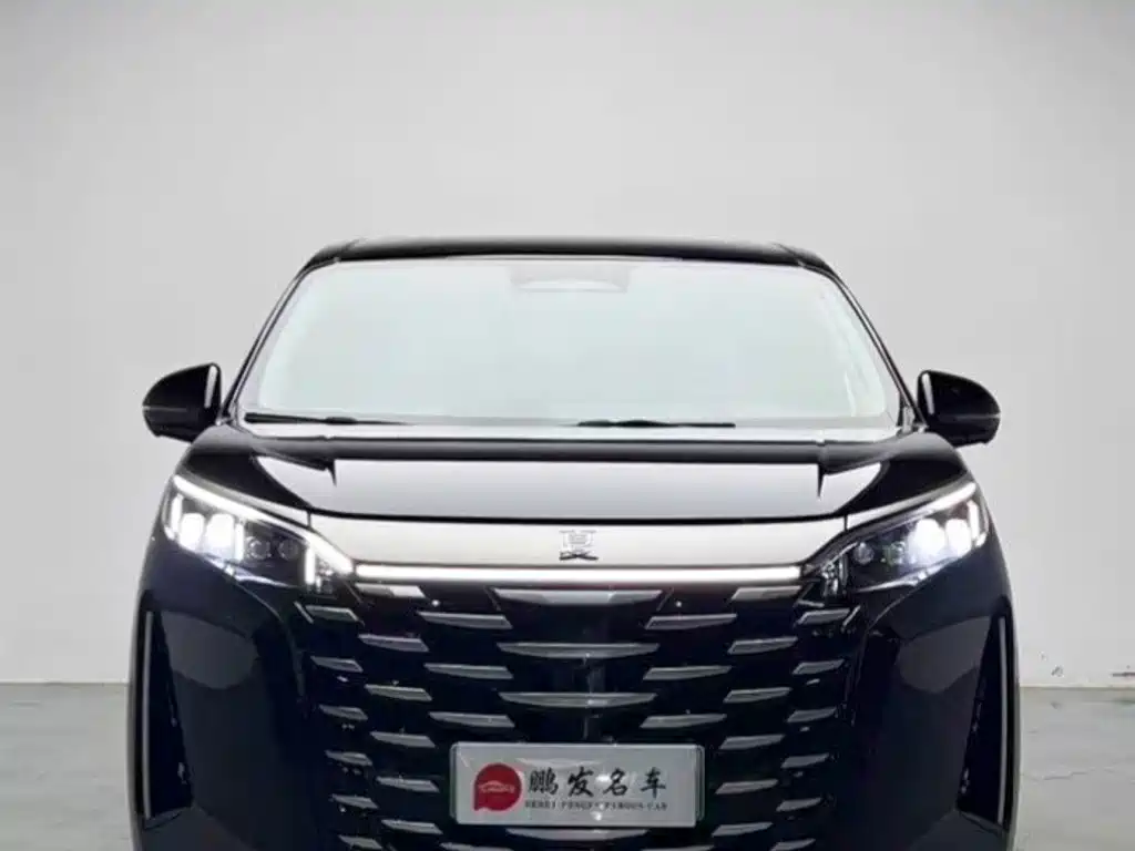 BYD Xia — миниатюра 2