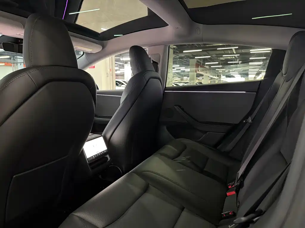 Tesla Model 3 — миниатюра 6