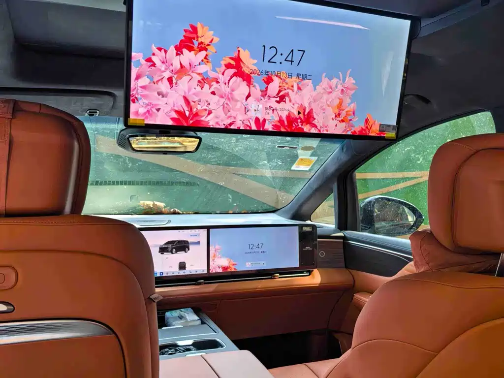 Buick Electra Encasa — миниатюра 9