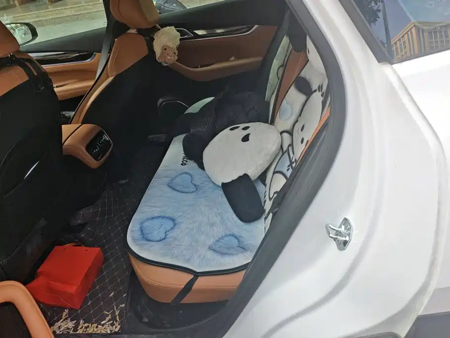 Geely Boyue L — миниатюра 11