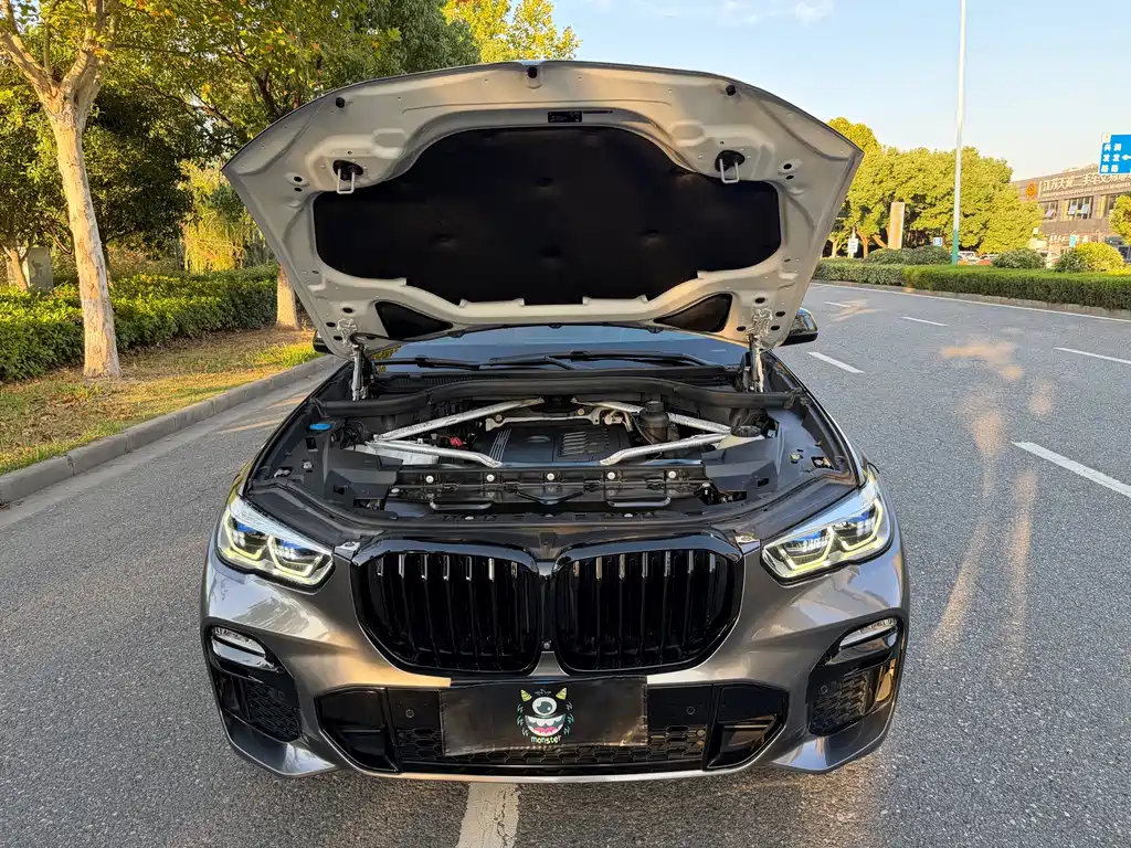 BMW X5 (Import) — миниатюра 16