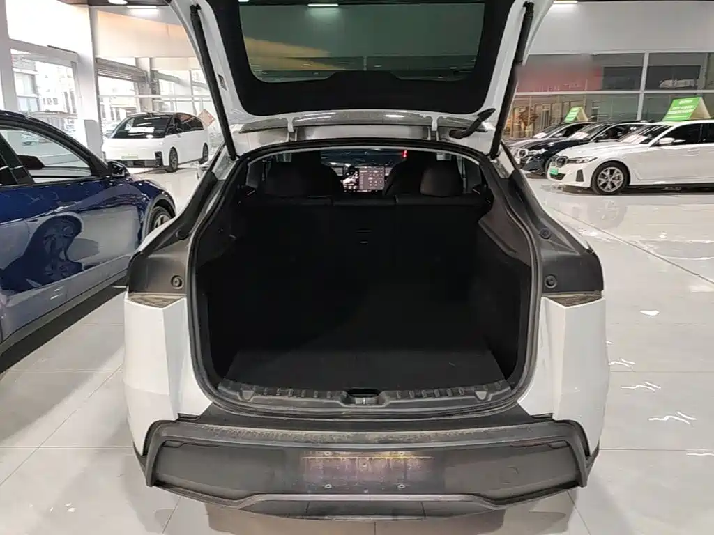 Tesla Model Y — миниатюра 19