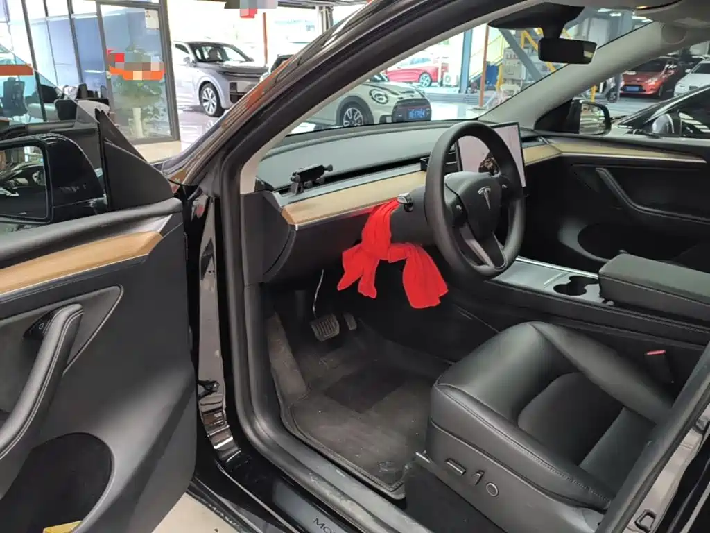 Tesla Model Y — миниатюра 16