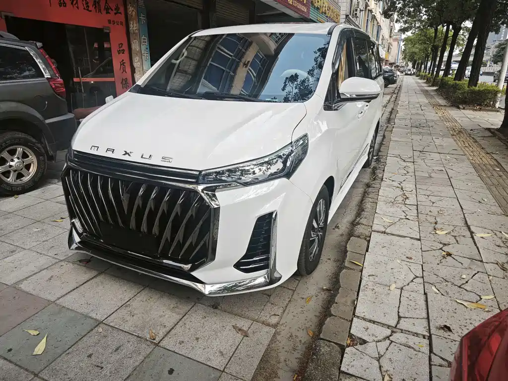 MAXUS G20
