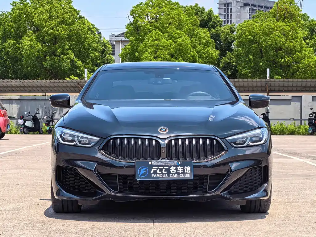 BMW 8 Series — миниатюра 2