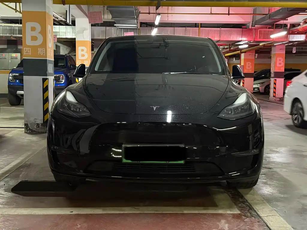 Tesla Model Y — миниатюра 2