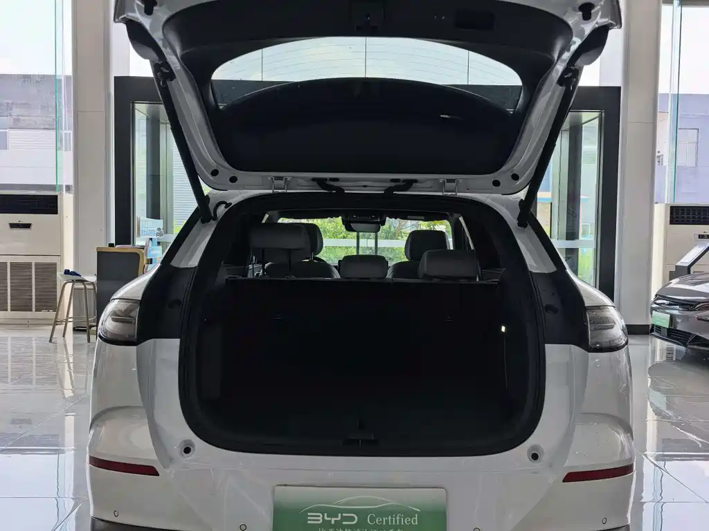 BYD Haisi 06 — миниатюра 10