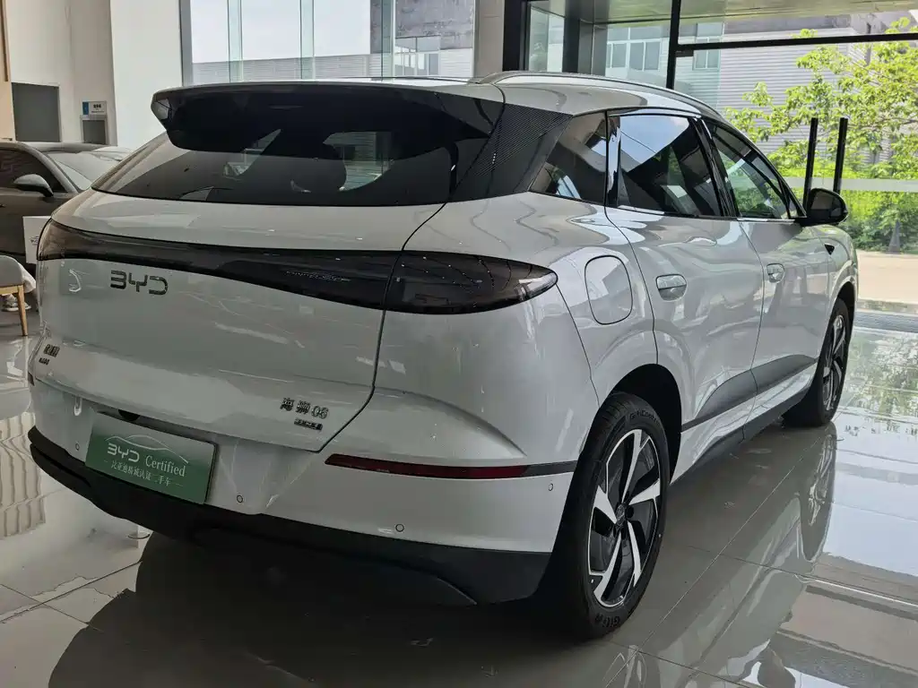 BYD Haisi 06 — миниатюра 9