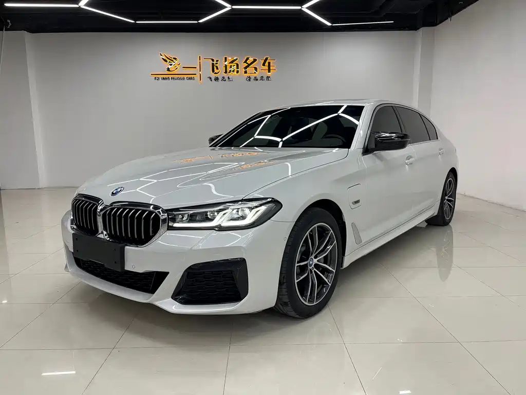 BMW 5 SERIES NEW ENERGY