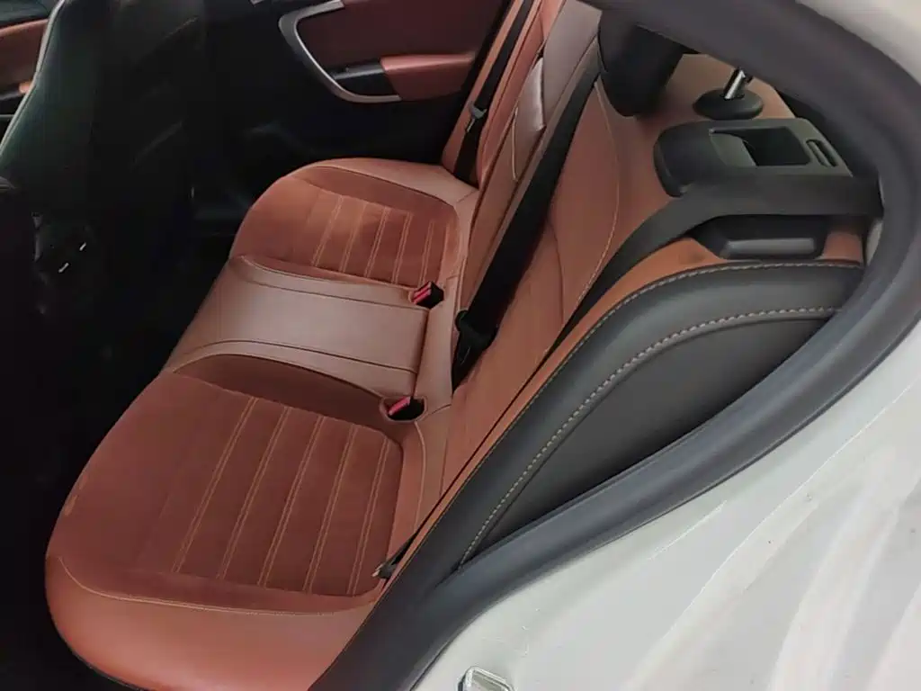 Buick Regal — миниатюра 15