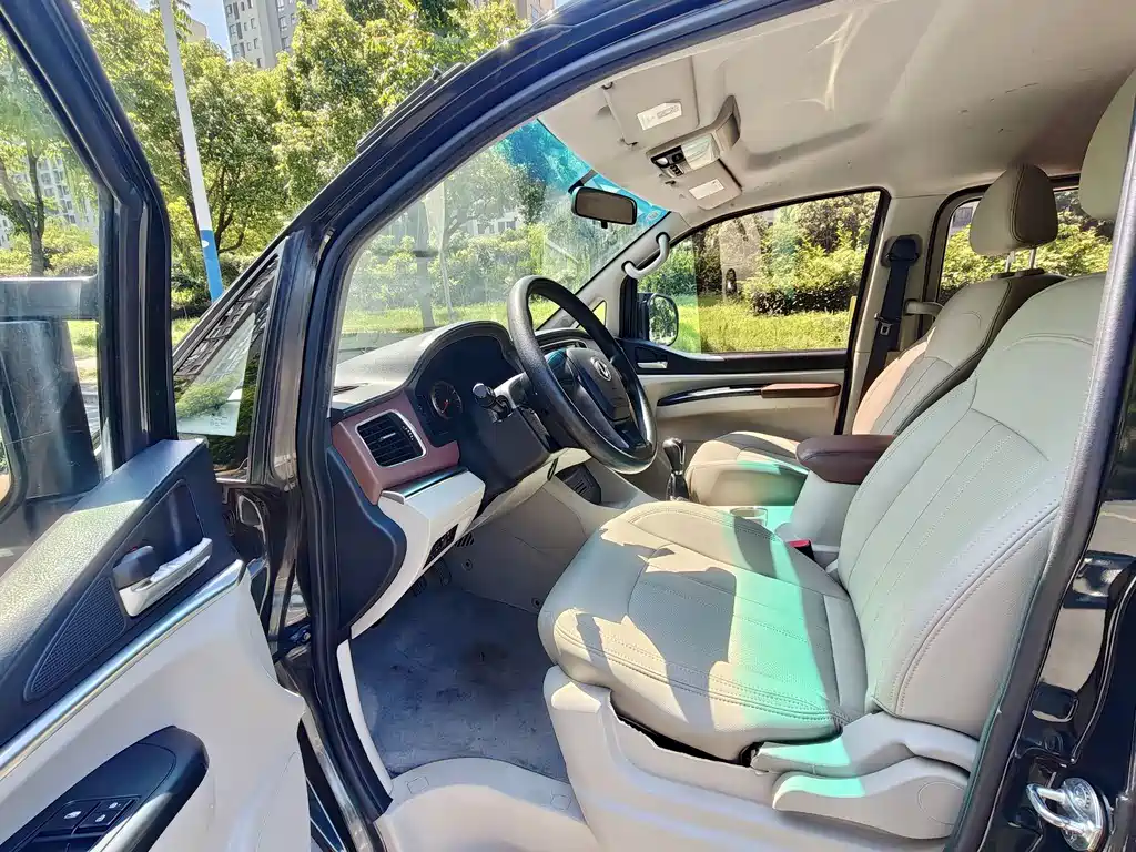Fengxing Lingzhi — миниатюра 8