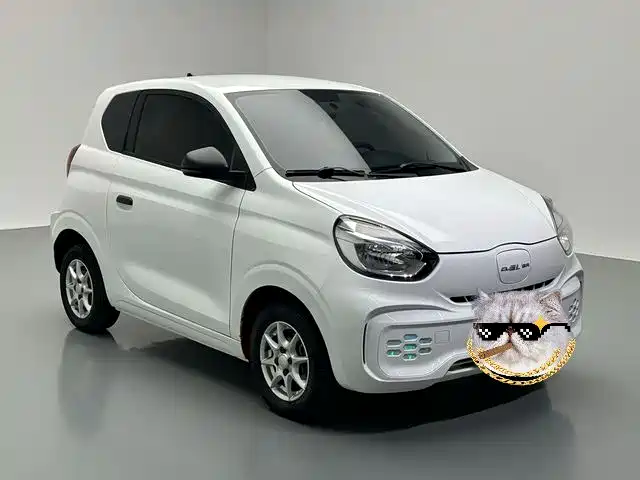 Roewe Clever 2022 311km