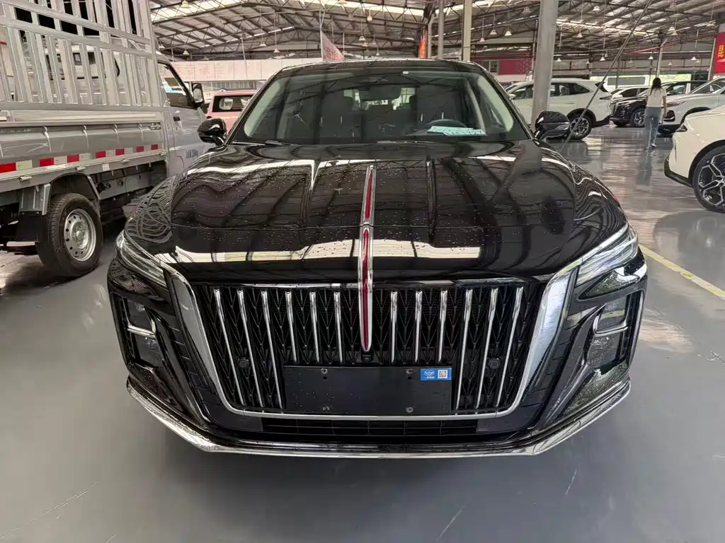 Hongqi Hongqi H5 — миниатюра 2