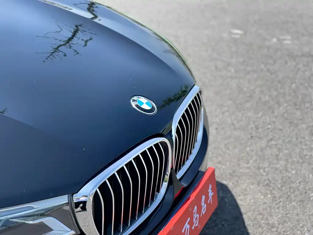 BMW 7 Series 7 2016 730Li Lead