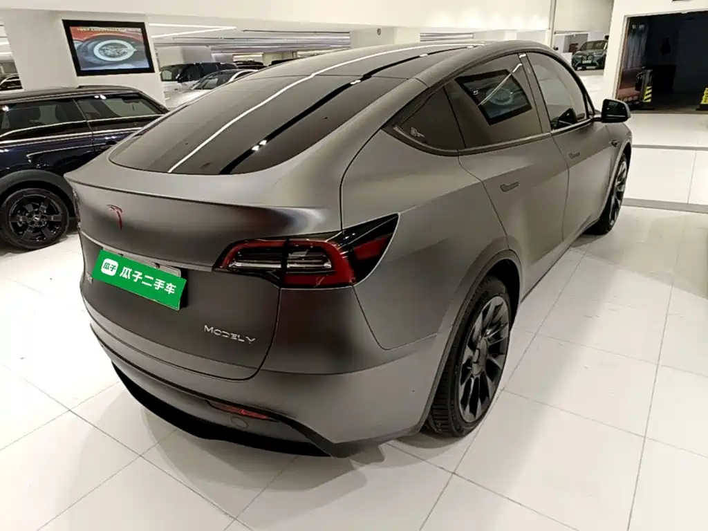 Tesla Model Y — миниатюра 7