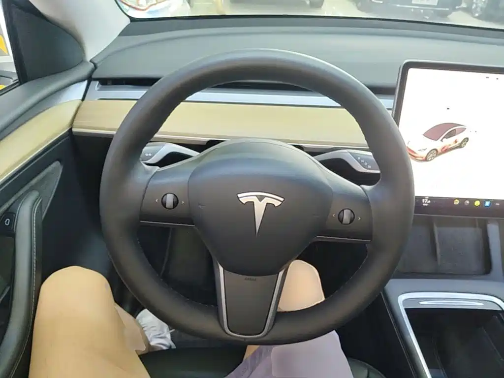 Tesla Model Y — миниатюра 11