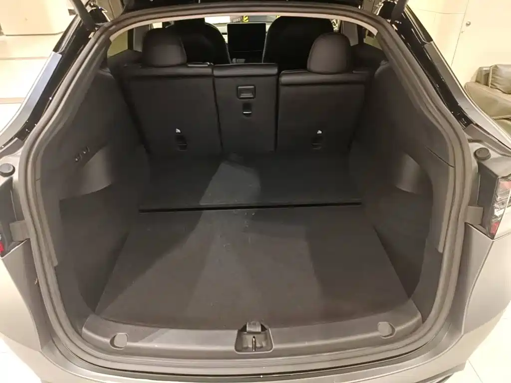Tesla Model Y — миниатюра 19