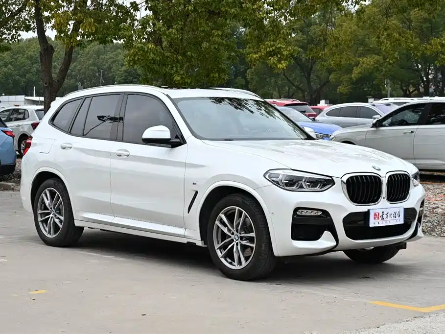 BMW X3 2018 xDrive30i Lead M Sport V