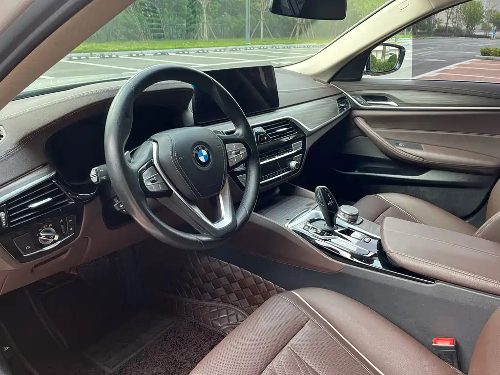 BMW 5 Series 5 2021 530Li Lead Luxury