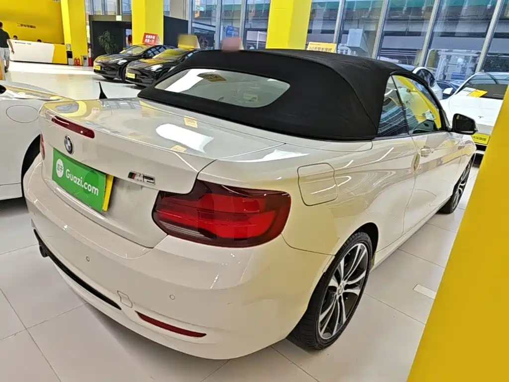 BMW 2 Series (Import) — миниатюра 7