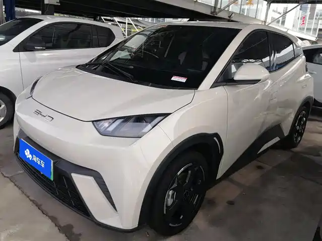 BYD SEAGULL 2024