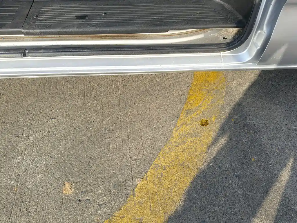 CHANGAN CHANGAN RUIXING M90