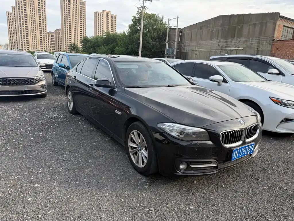 BMW 5 Series 5 2014 520Li Elegant