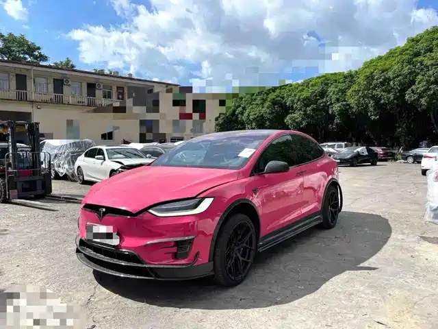 2020 Tesla Model X