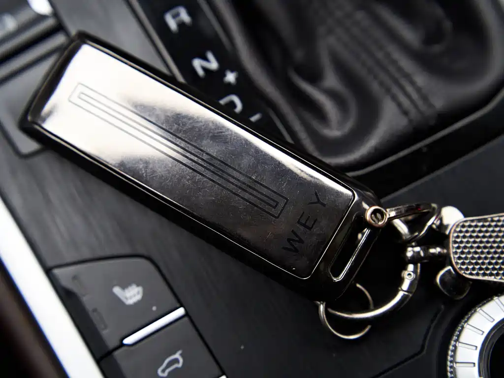 WEI PAI WEI BRAND VV7