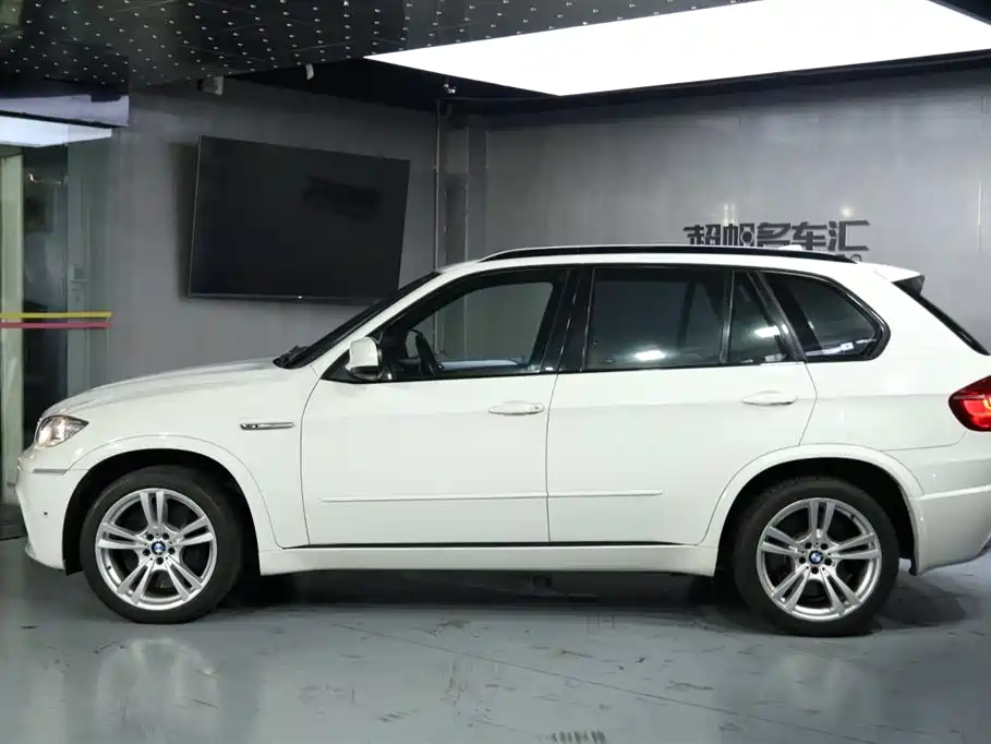 BMW X5 M 2010 X5 M