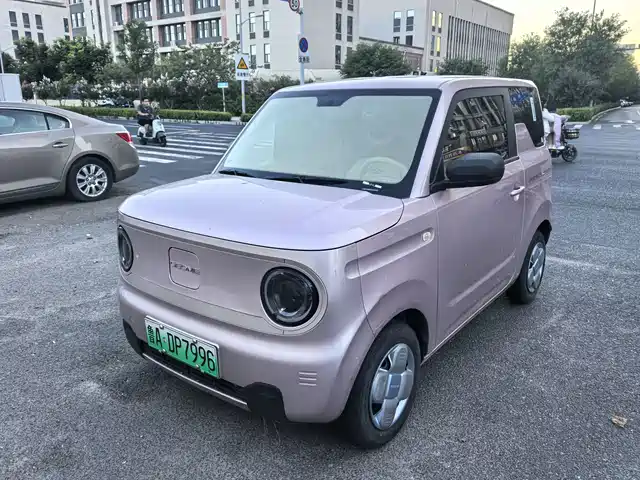 2023 Geely LC (Panda)
