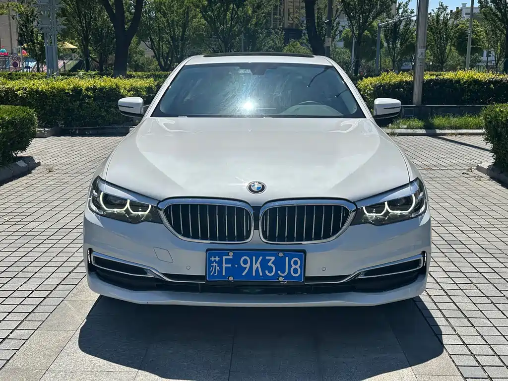 BMW 5 Series 5 2020 525Li Luxury