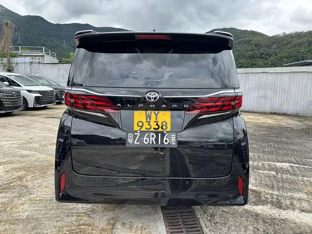 Toyota Alphard — миниатюра 16