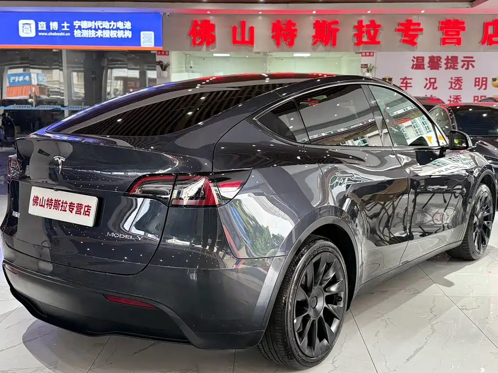 Tesla Model Y — миниатюра 4