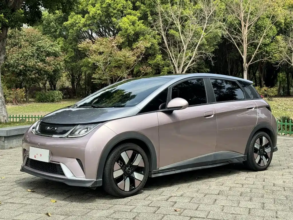 Byd Dolphin 2022