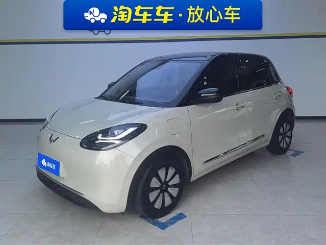 WULING AUTOMOBILE WULING BINGGUO 2023
