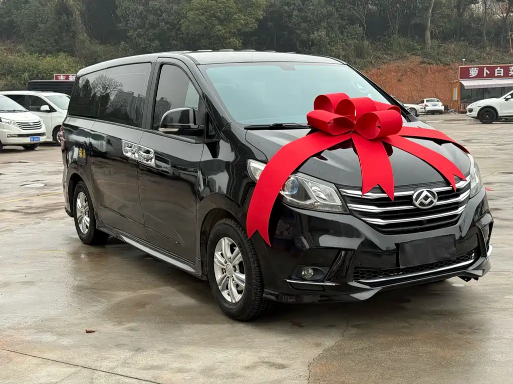 SAIC MAXUS CHASE G10